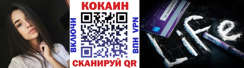 Купить закладки  Саянск  Cocaine FishScale 