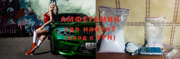 сатива Белокуриха