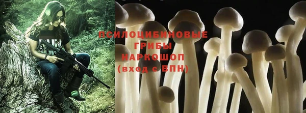 сатива Белокуриха