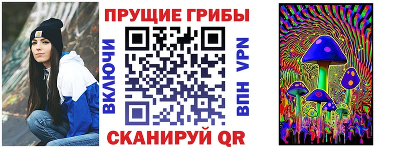 Галлюциногенные грибы прущие грибы  Купить где  Саянск 